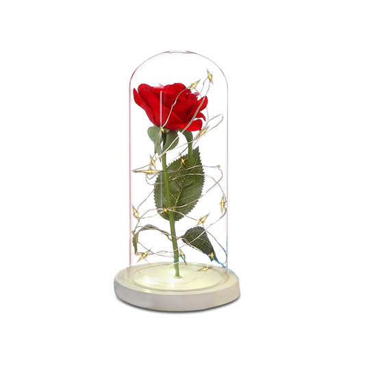 Rouge Rose Light