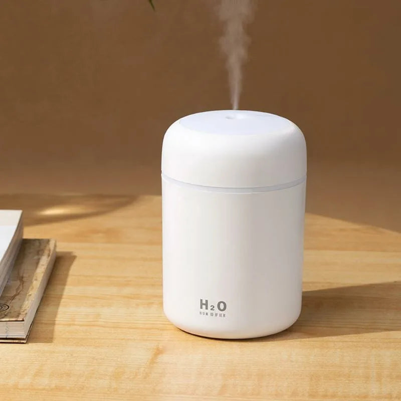 Nano Mist Humidifier